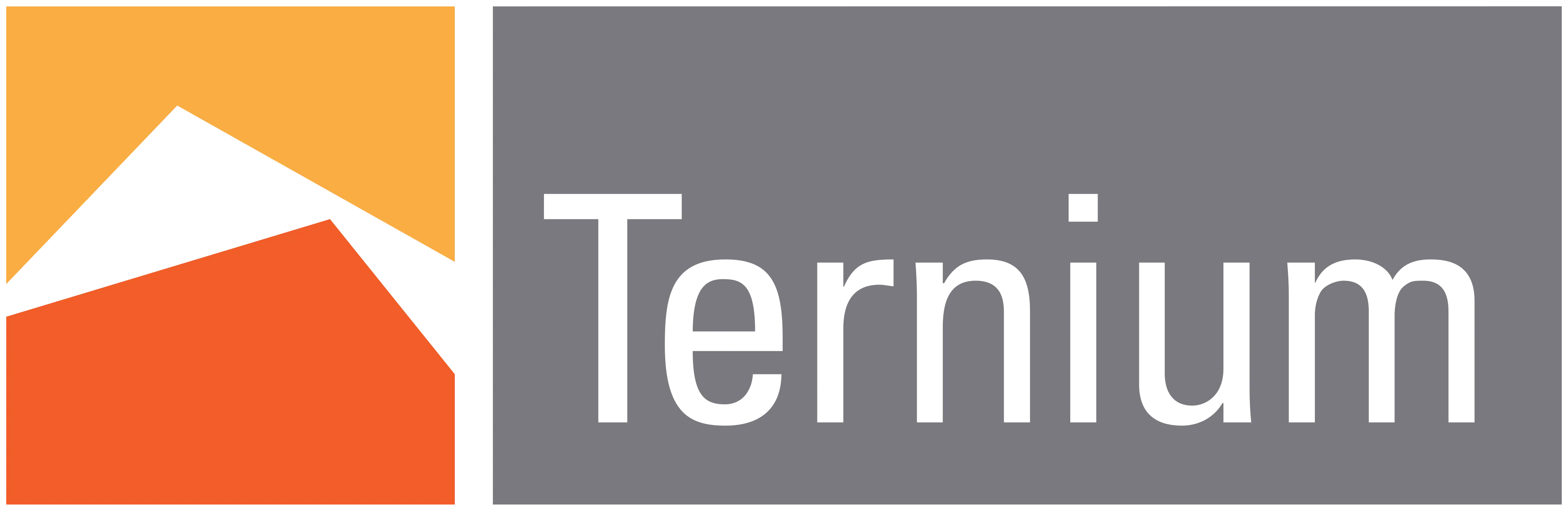 Ternium Logo